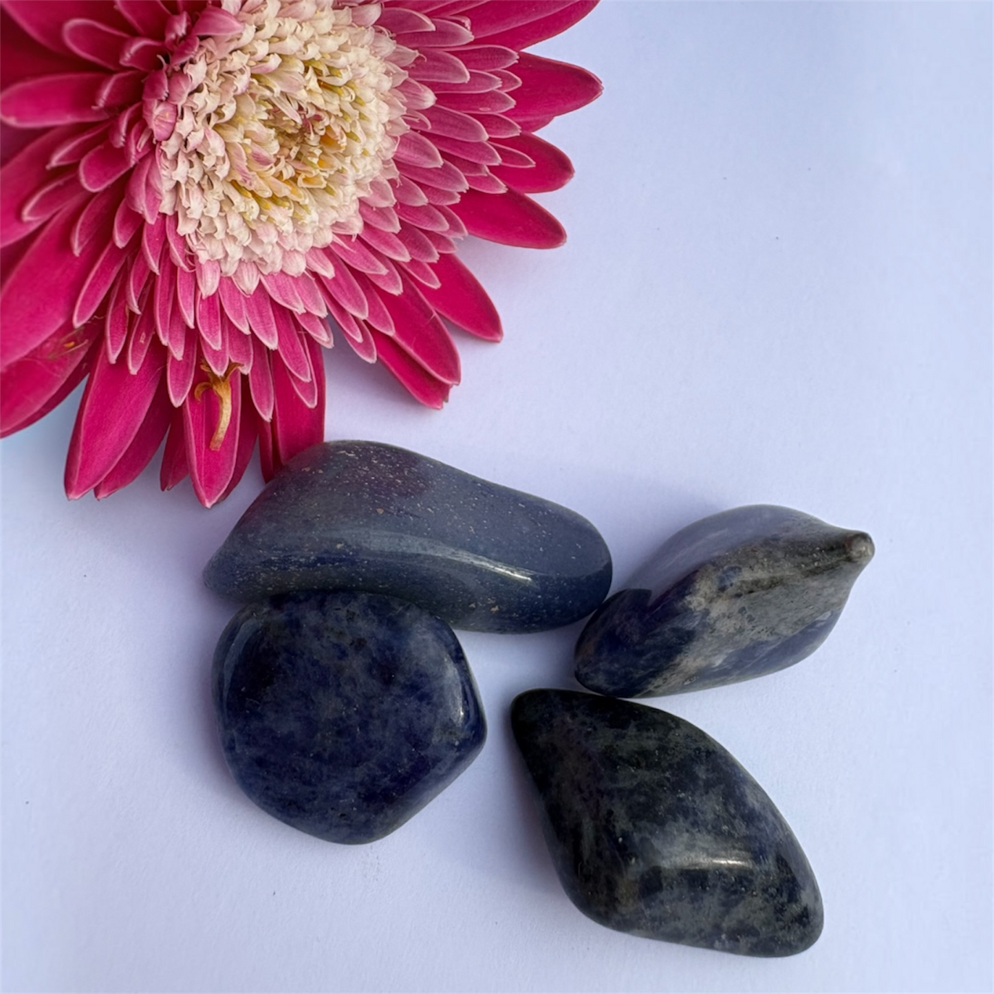 Sodalite Tumble Stone