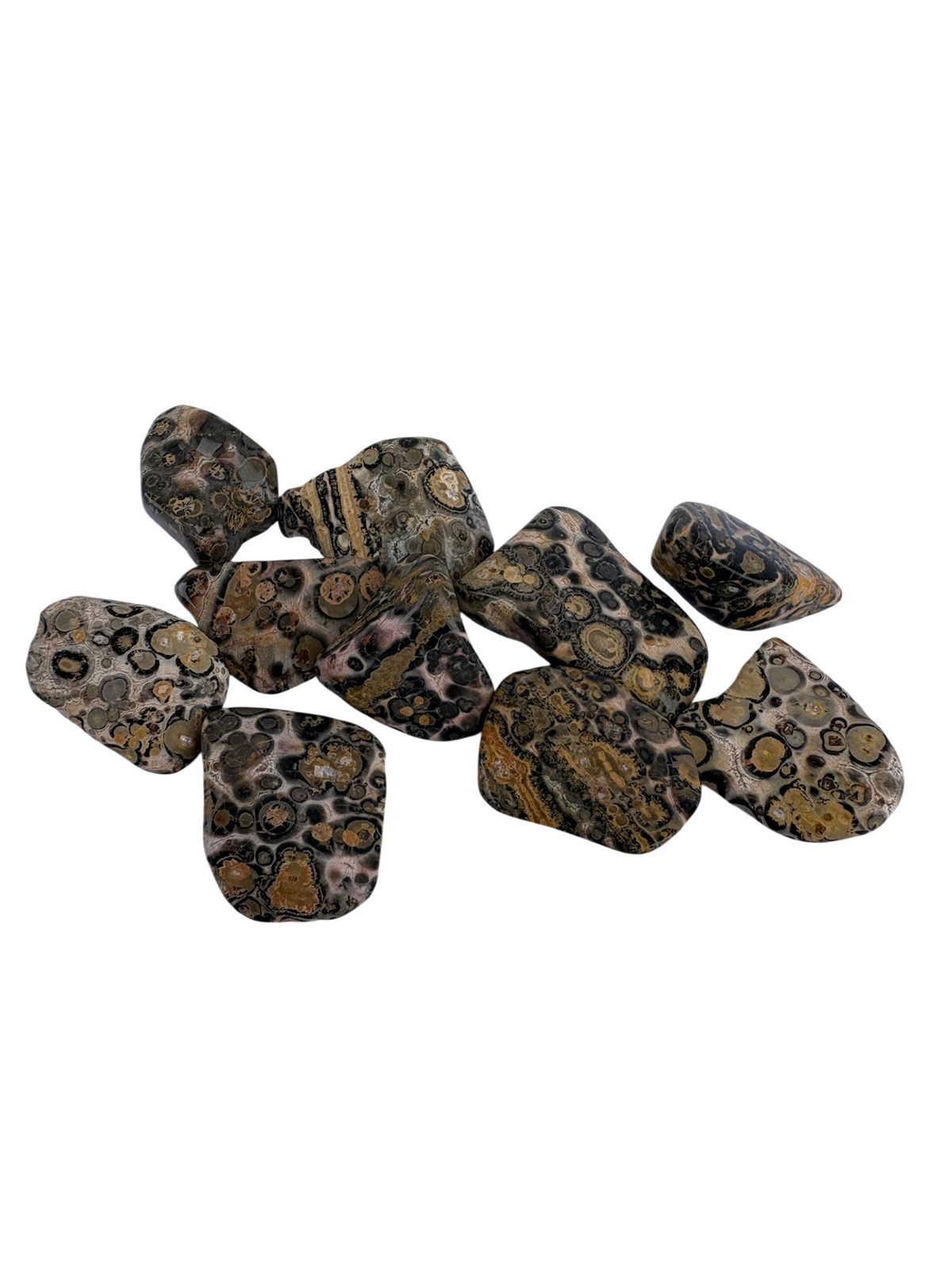 Turritella Agate Tumble Stone